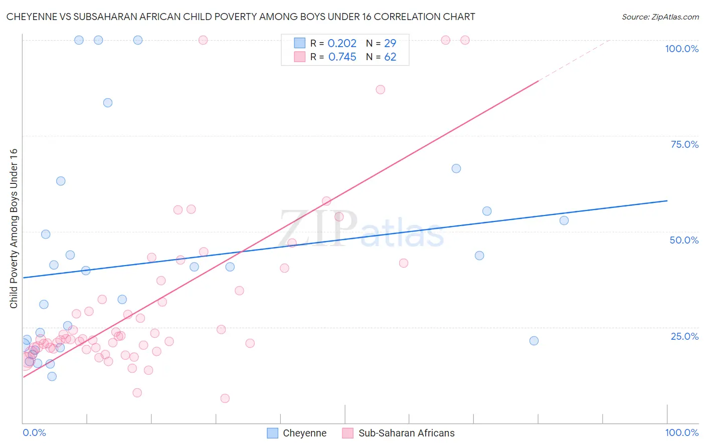 Cheyenne vs Subsaharan African Child Poverty Among Boys Under 16