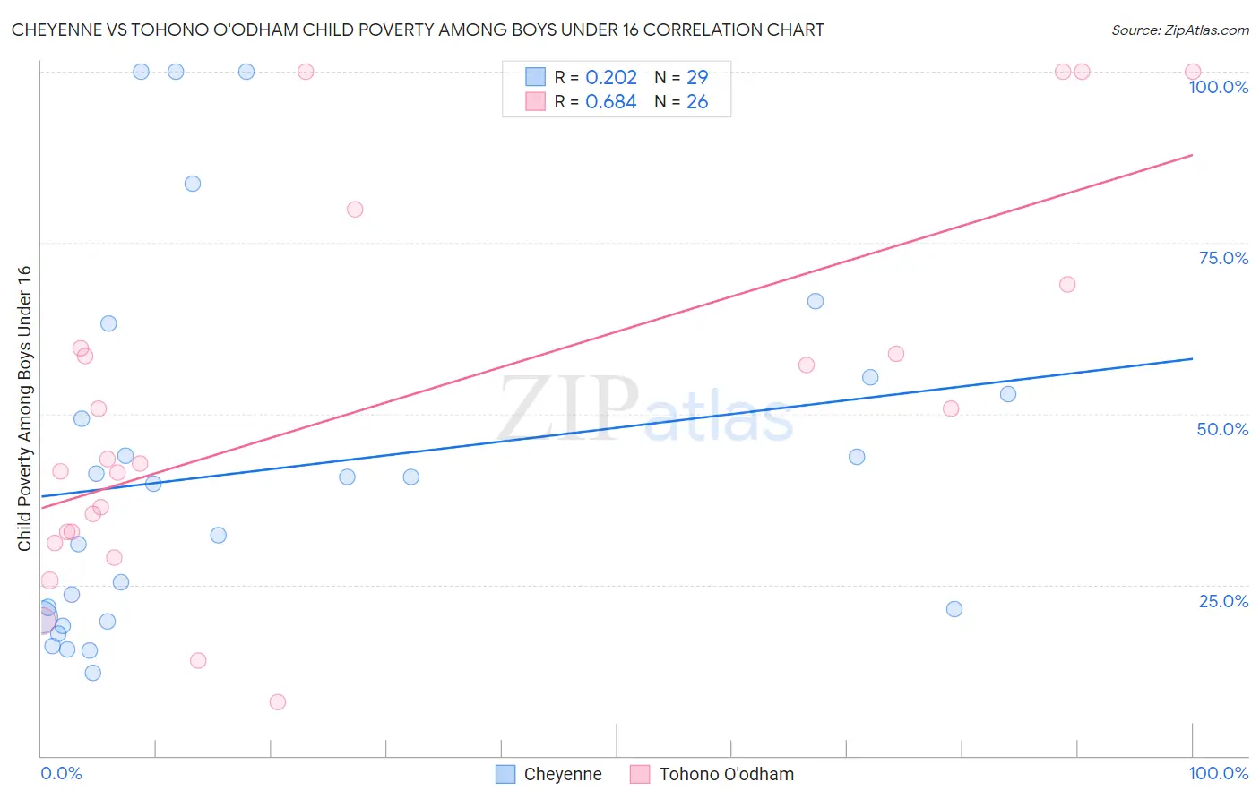 Cheyenne vs Tohono O'odham Child Poverty Among Boys Under 16