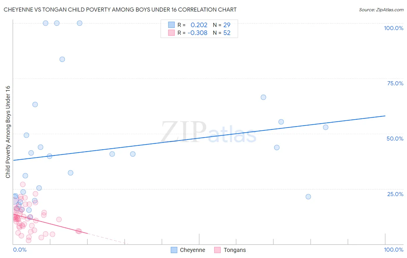 Cheyenne vs Tongan Child Poverty Among Boys Under 16