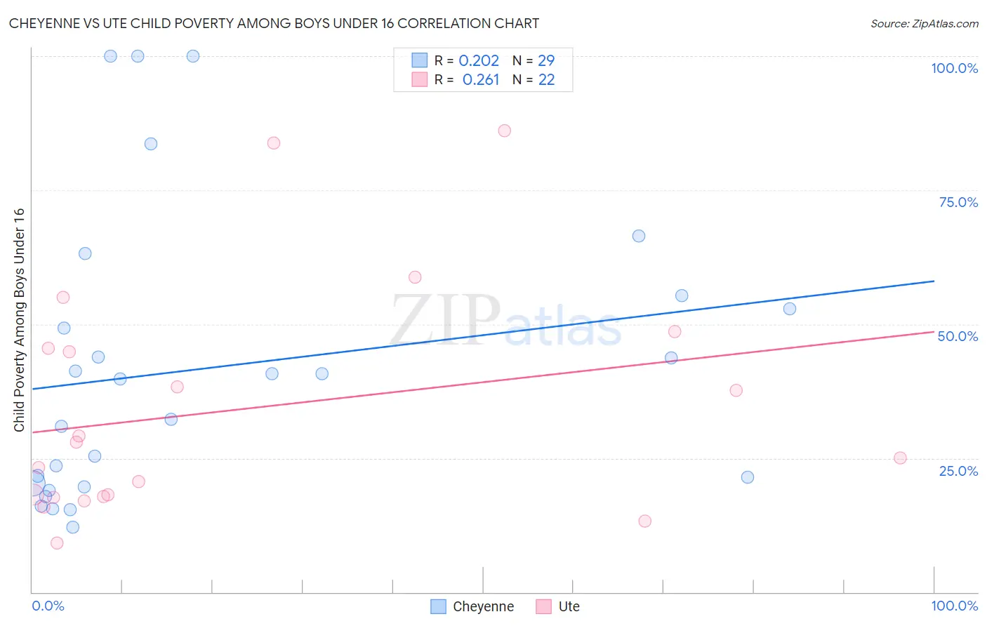 Cheyenne vs Ute Child Poverty Among Boys Under 16