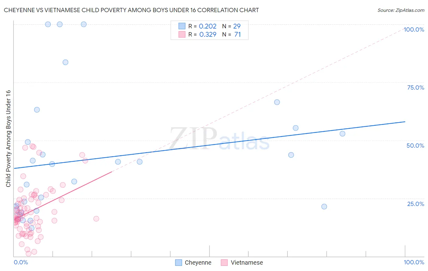 Cheyenne vs Vietnamese Child Poverty Among Boys Under 16