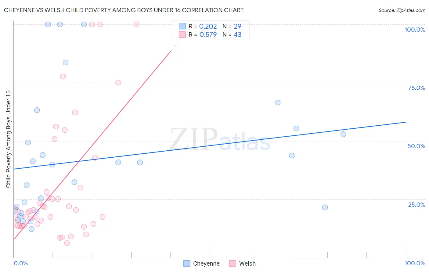 Cheyenne vs Welsh Child Poverty Among Boys Under 16