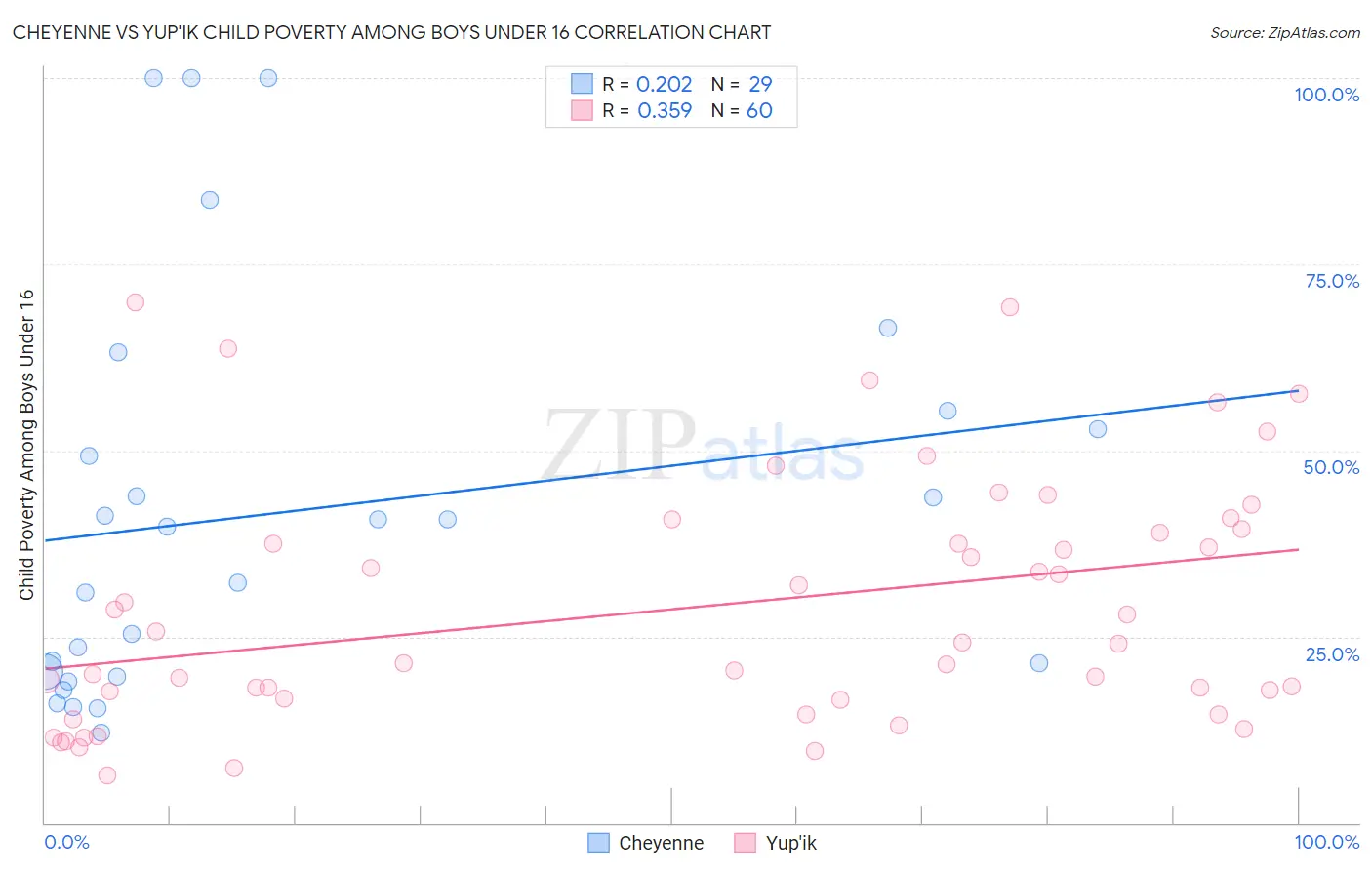 Cheyenne vs Yup'ik Child Poverty Among Boys Under 16