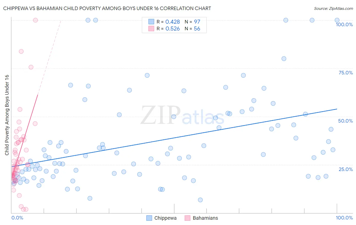 Chippewa vs Bahamian Child Poverty Among Boys Under 16