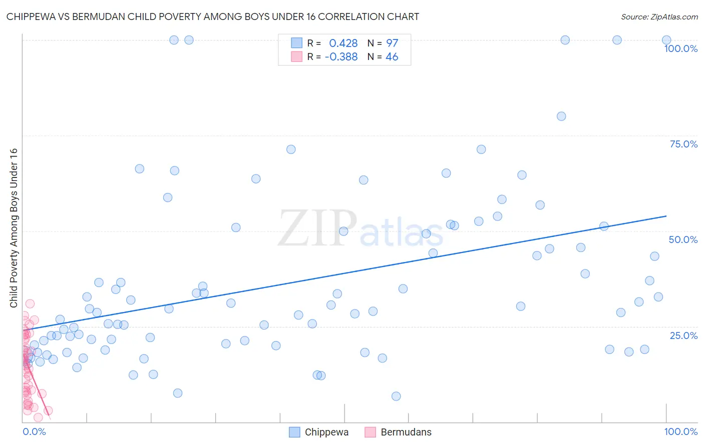 Chippewa vs Bermudan Child Poverty Among Boys Under 16