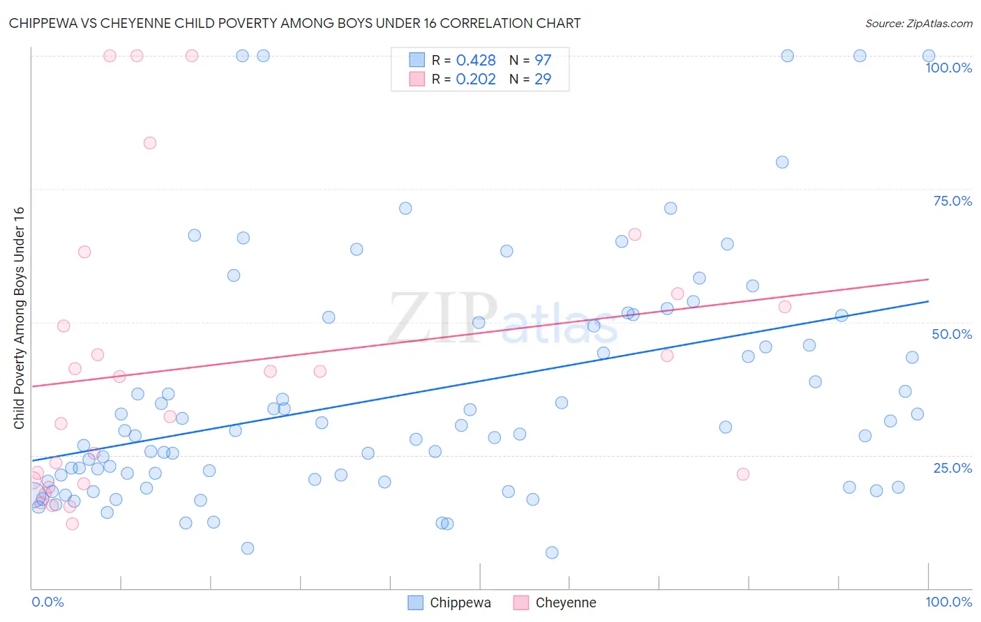Chippewa vs Cheyenne Child Poverty Among Boys Under 16