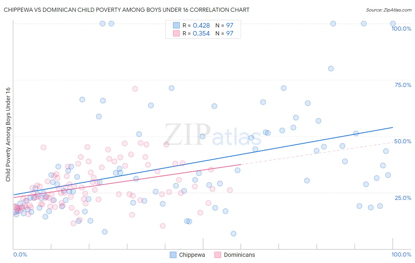 Chippewa vs Dominican Child Poverty Among Boys Under 16