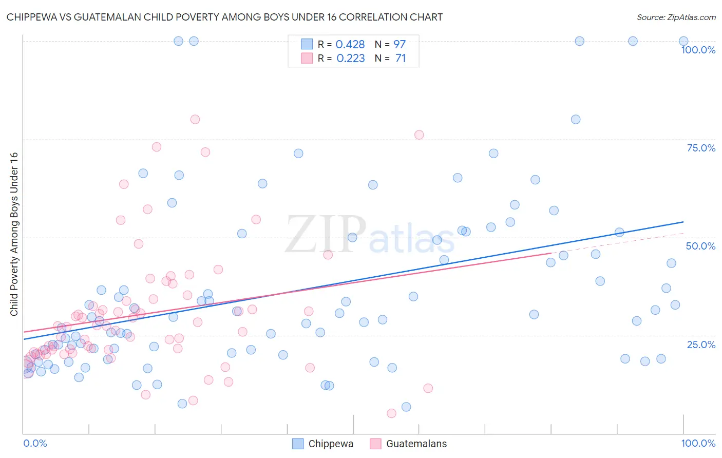 Chippewa vs Guatemalan Child Poverty Among Boys Under 16