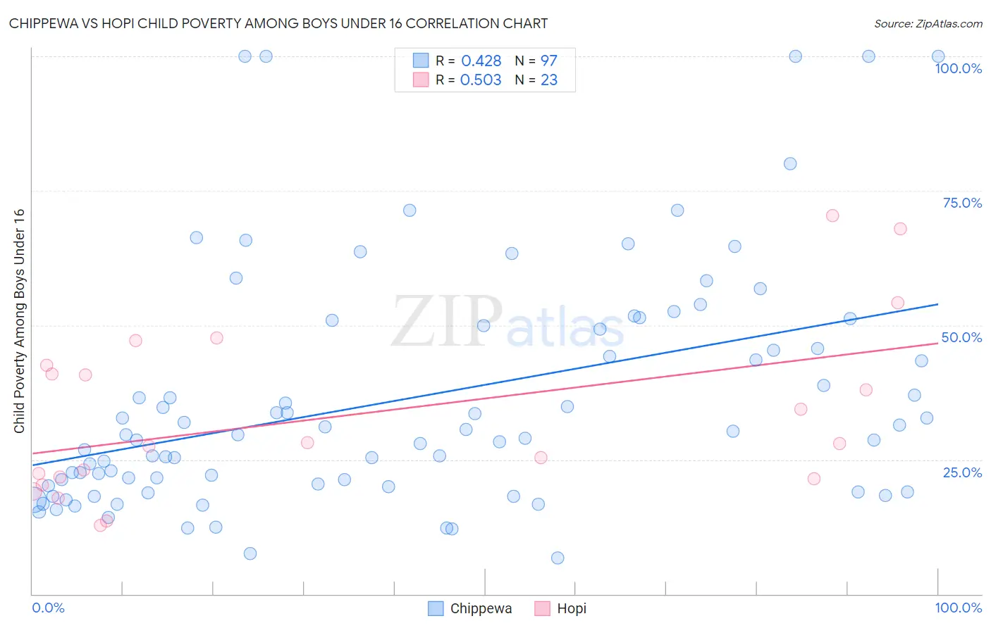 Chippewa vs Hopi Child Poverty Among Boys Under 16