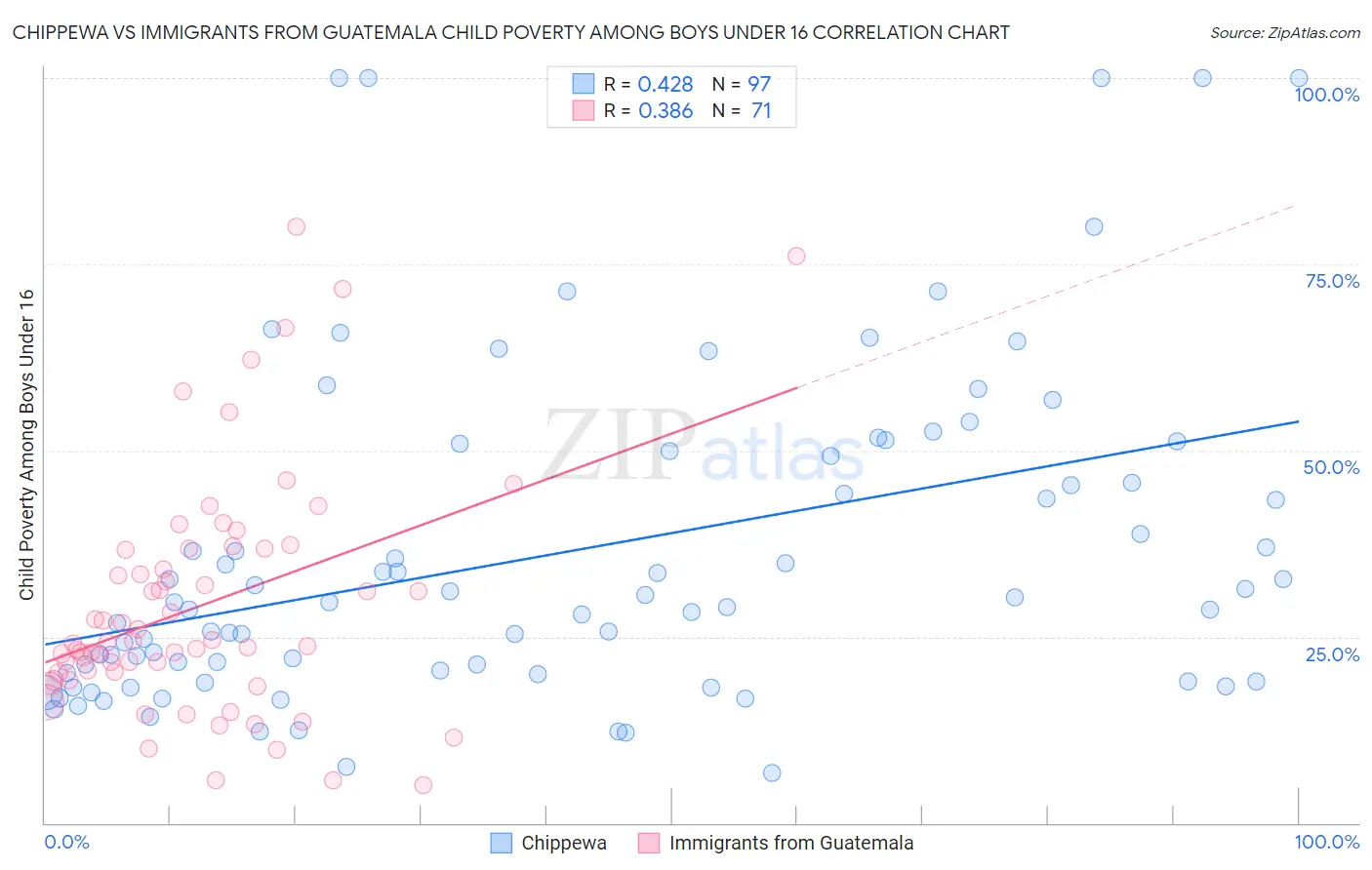 Chippewa vs Immigrants from Guatemala Child Poverty Among Boys Under 16