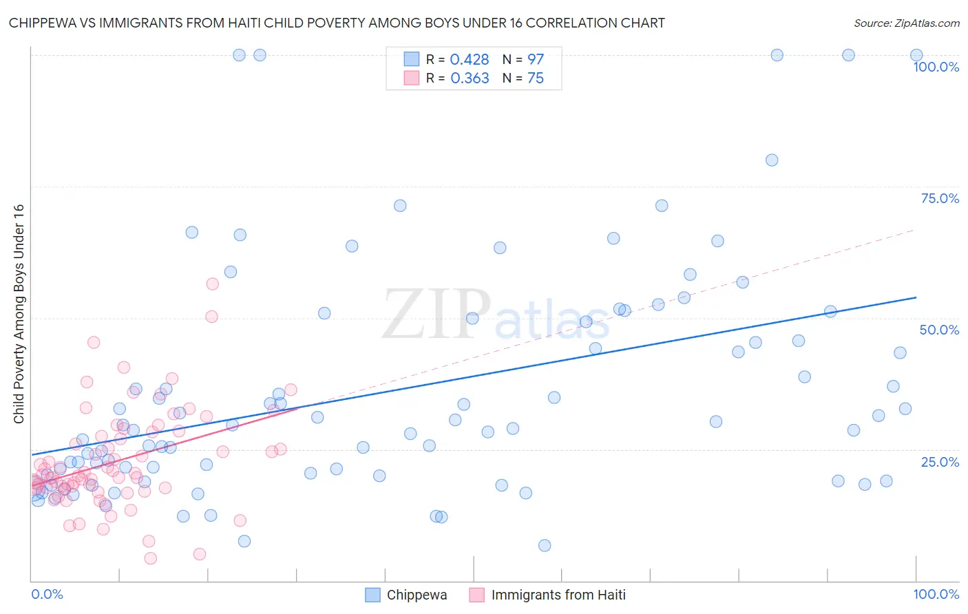 Chippewa vs Immigrants from Haiti Child Poverty Among Boys Under 16