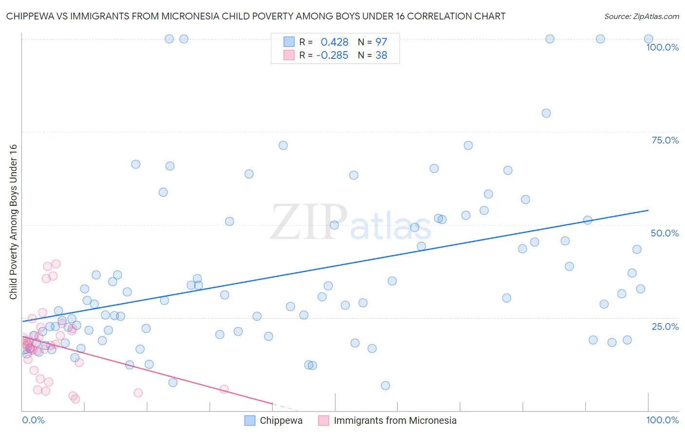 Chippewa vs Immigrants from Micronesia Child Poverty Among Boys Under 16