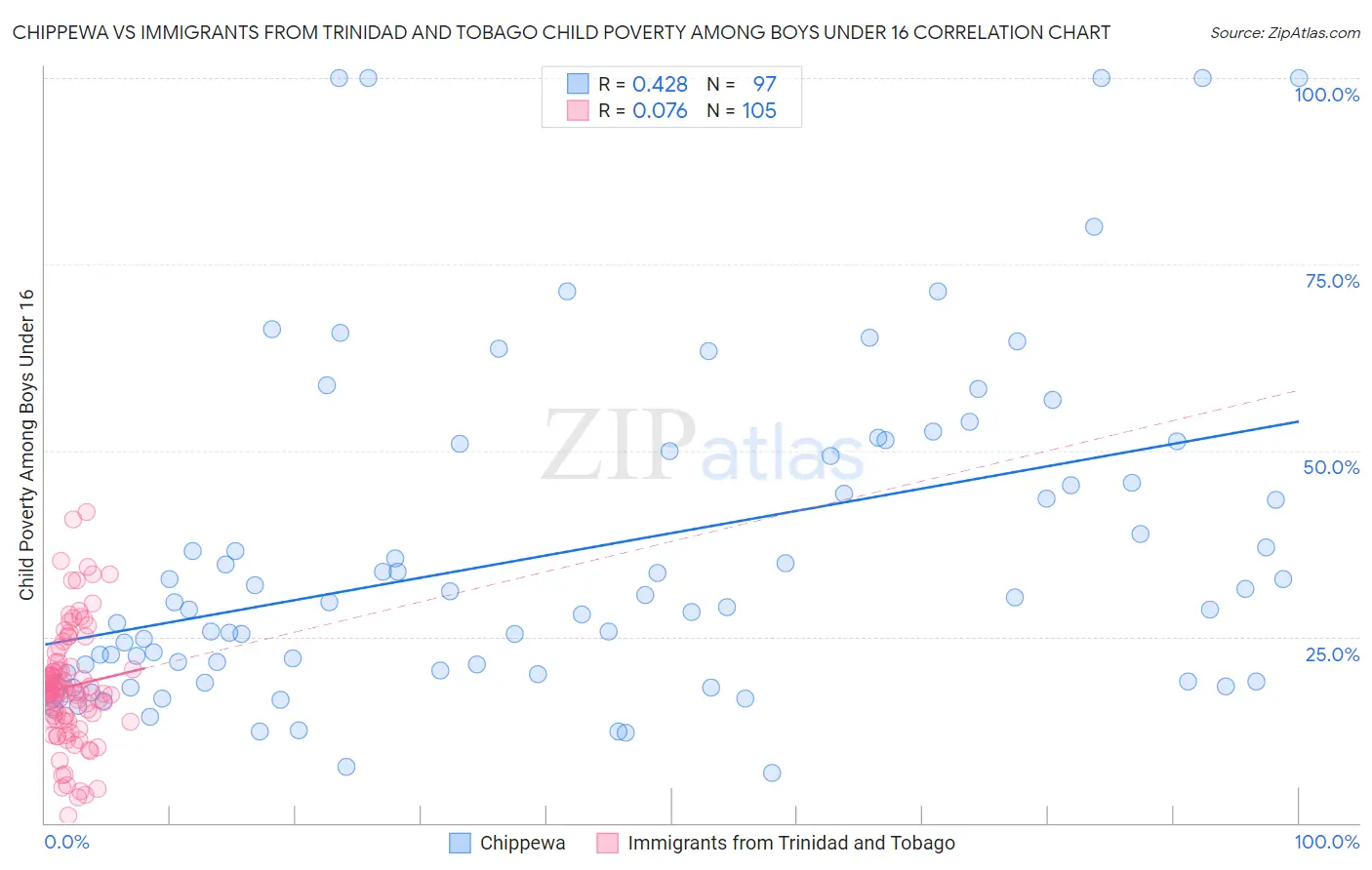 Chippewa vs Immigrants from Trinidad and Tobago Child Poverty Among Boys Under 16