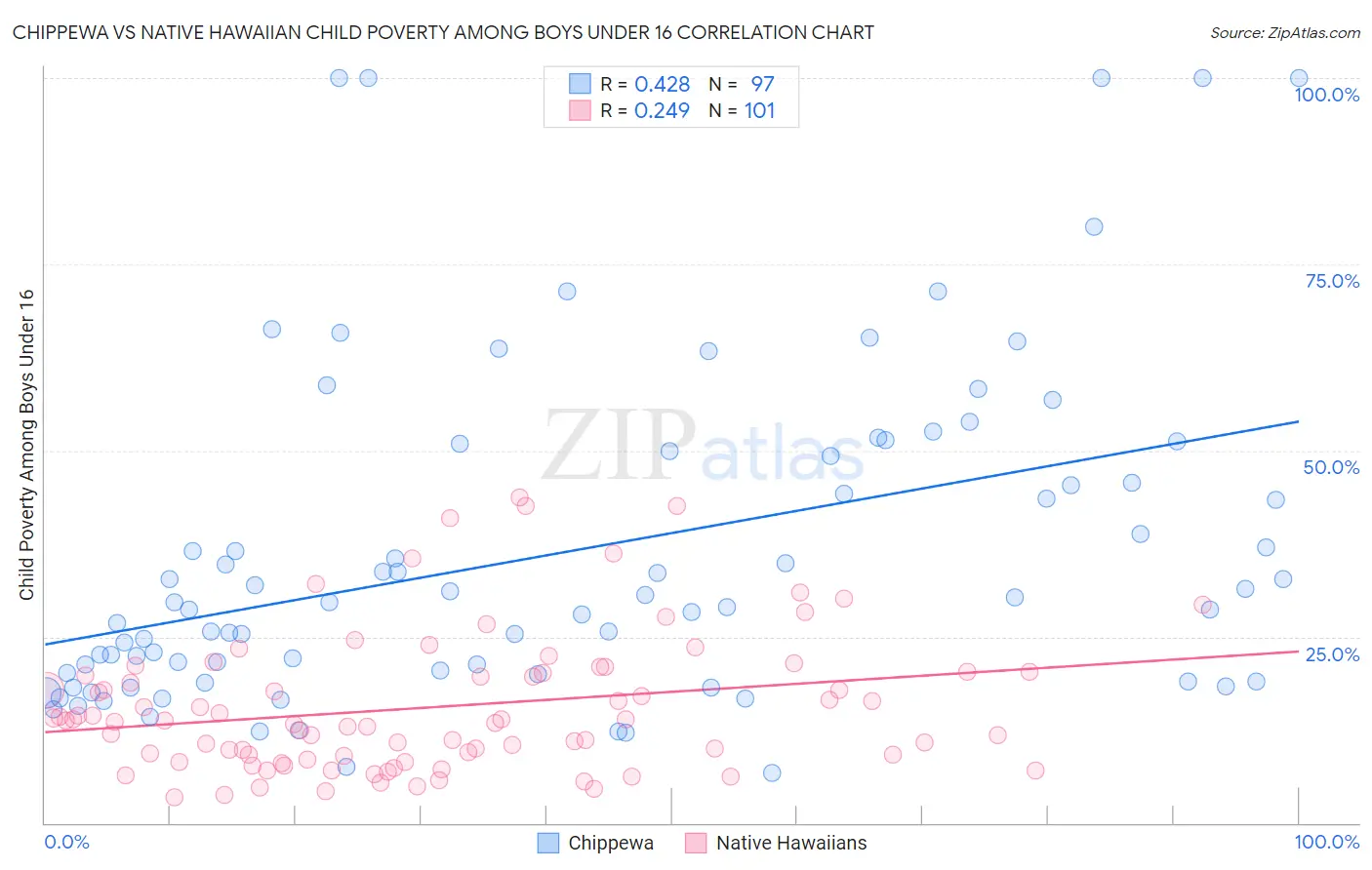 Chippewa vs Native Hawaiian Child Poverty Among Boys Under 16