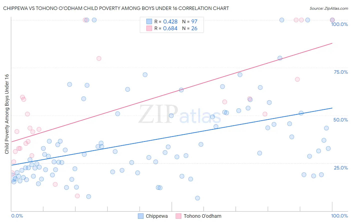 Chippewa vs Tohono O'odham Child Poverty Among Boys Under 16