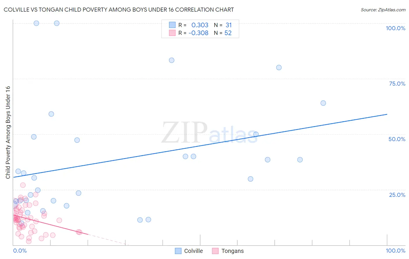 Colville vs Tongan Child Poverty Among Boys Under 16