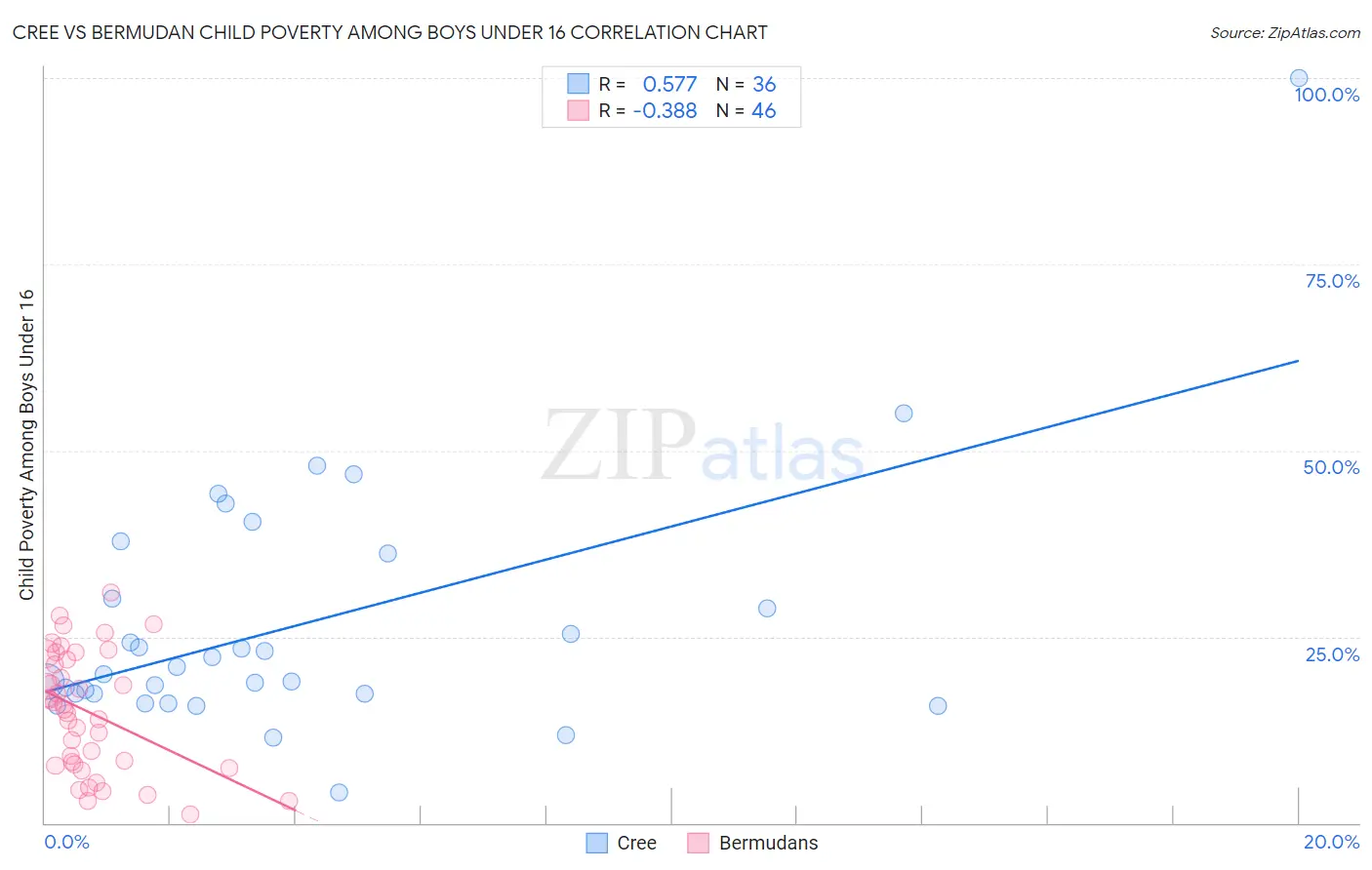 Cree vs Bermudan Child Poverty Among Boys Under 16