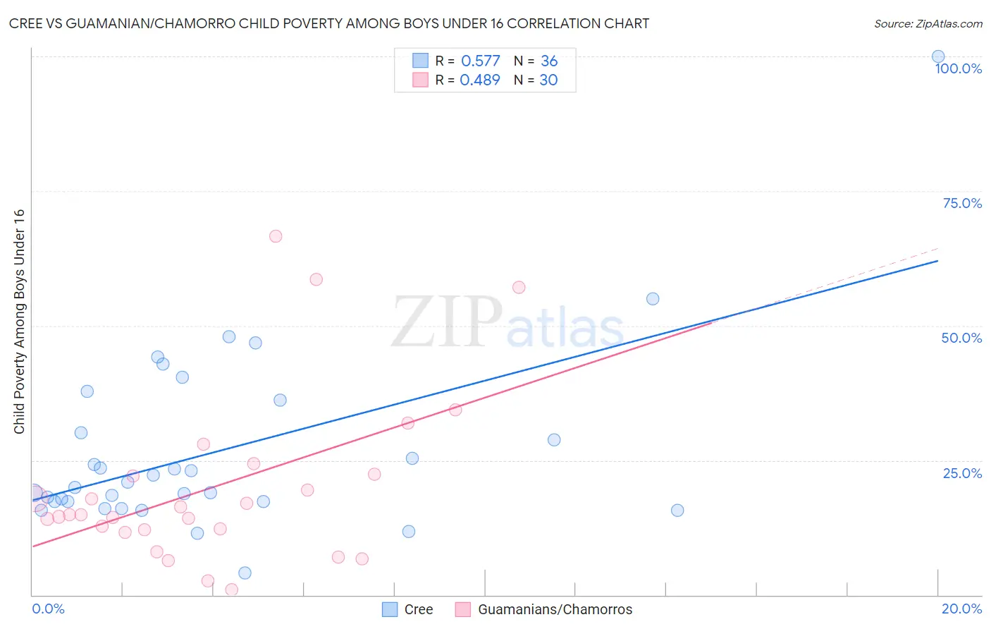 Cree vs Guamanian/Chamorro Child Poverty Among Boys Under 16