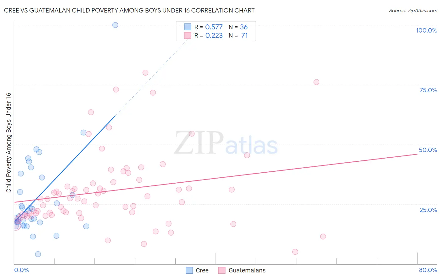 Cree vs Guatemalan Child Poverty Among Boys Under 16