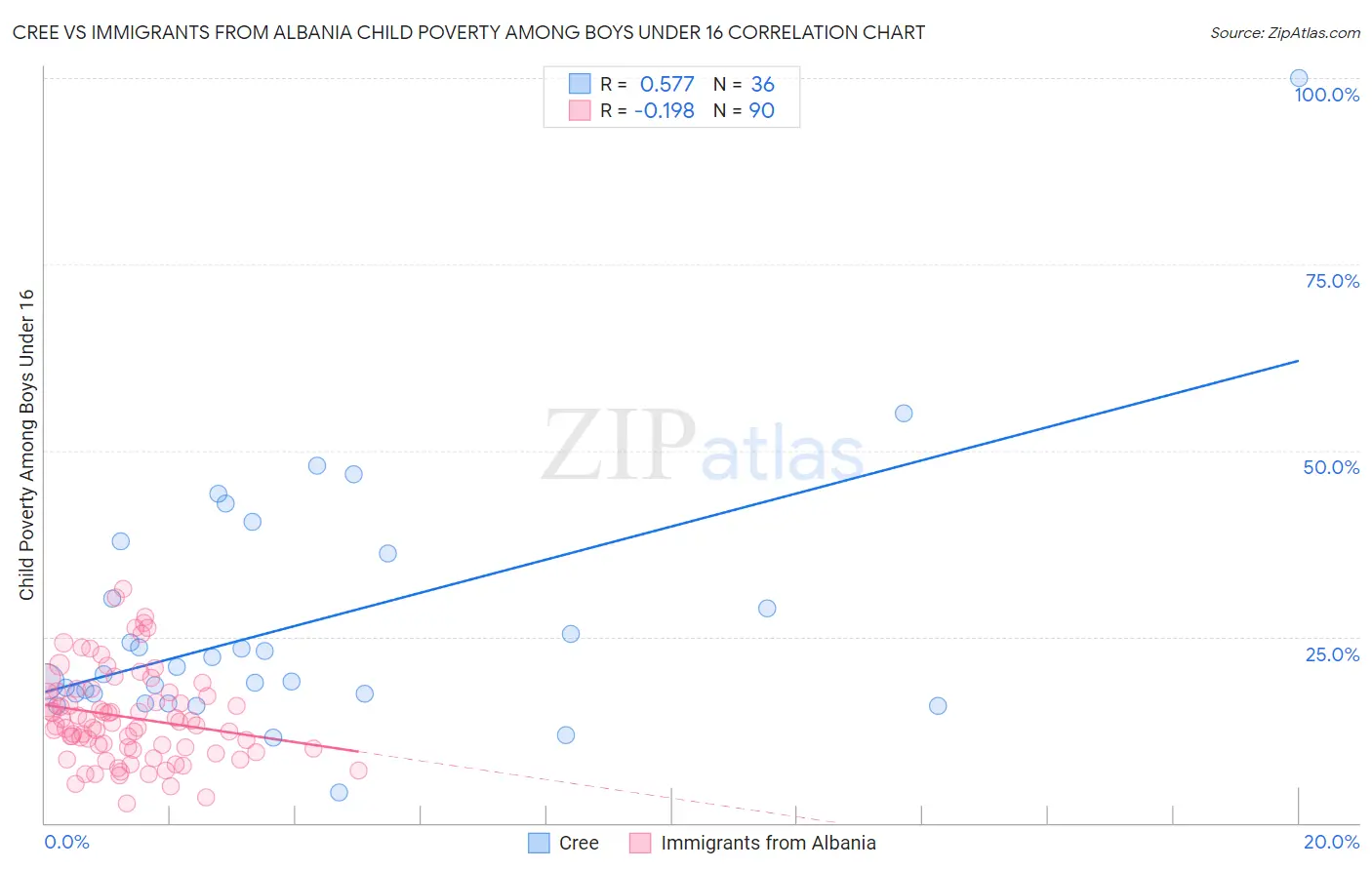 Cree vs Immigrants from Albania Child Poverty Among Boys Under 16