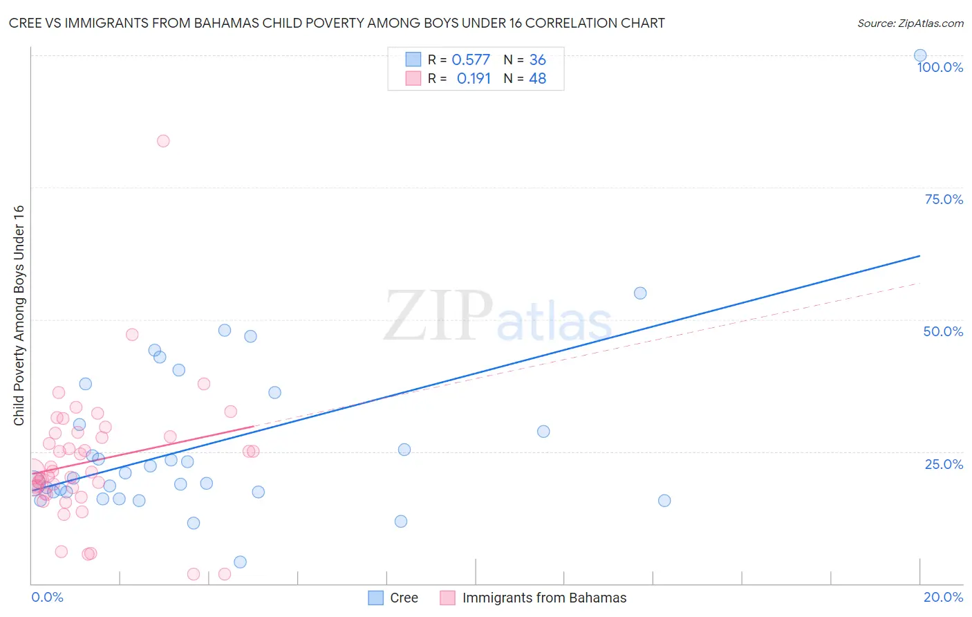 Cree vs Immigrants from Bahamas Child Poverty Among Boys Under 16