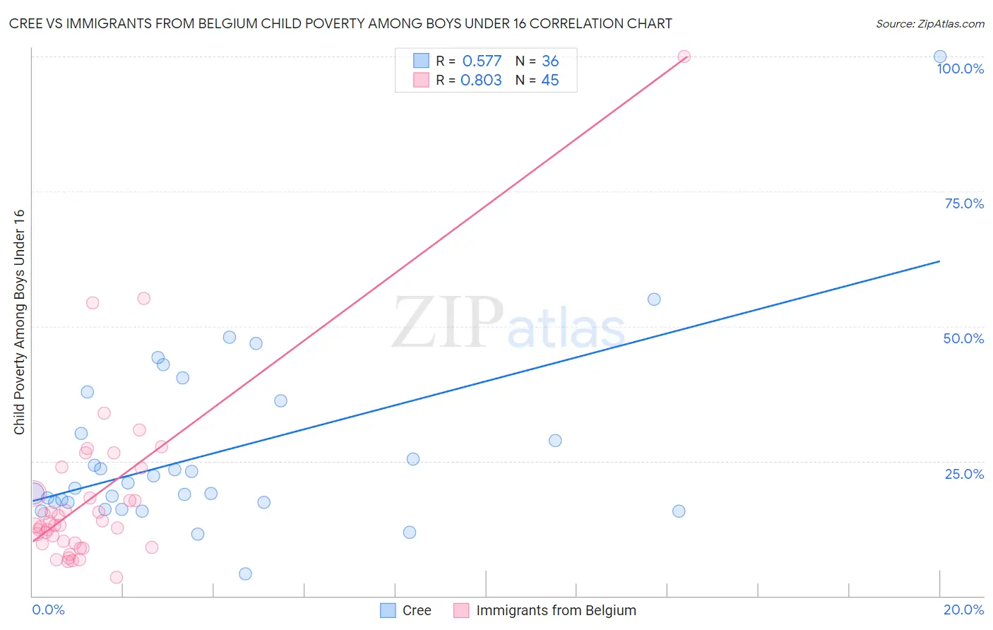 Cree vs Immigrants from Belgium Child Poverty Among Boys Under 16