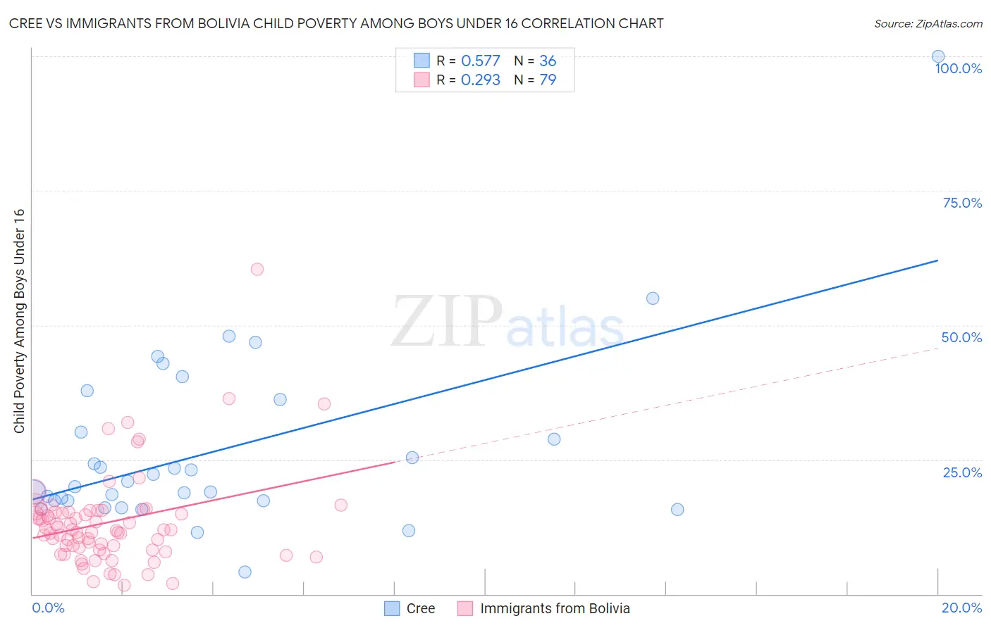Cree vs Immigrants from Bolivia Child Poverty Among Boys Under 16