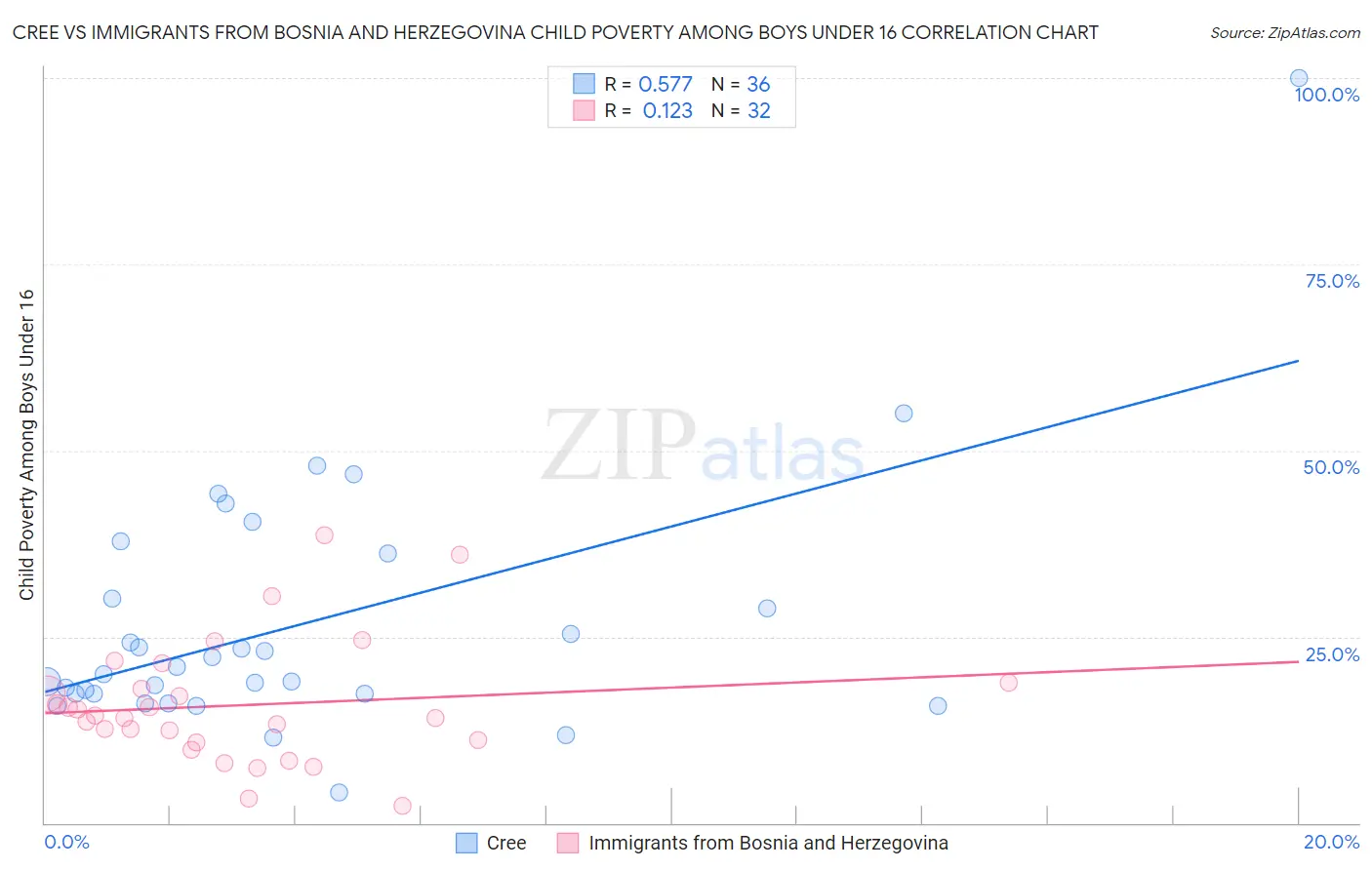 Cree vs Immigrants from Bosnia and Herzegovina Child Poverty Among Boys Under 16