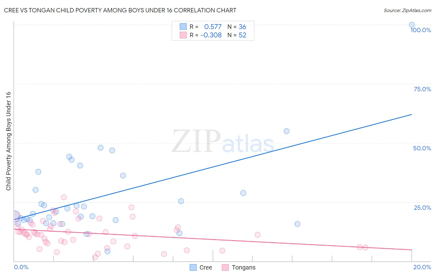 Cree vs Tongan Child Poverty Among Boys Under 16