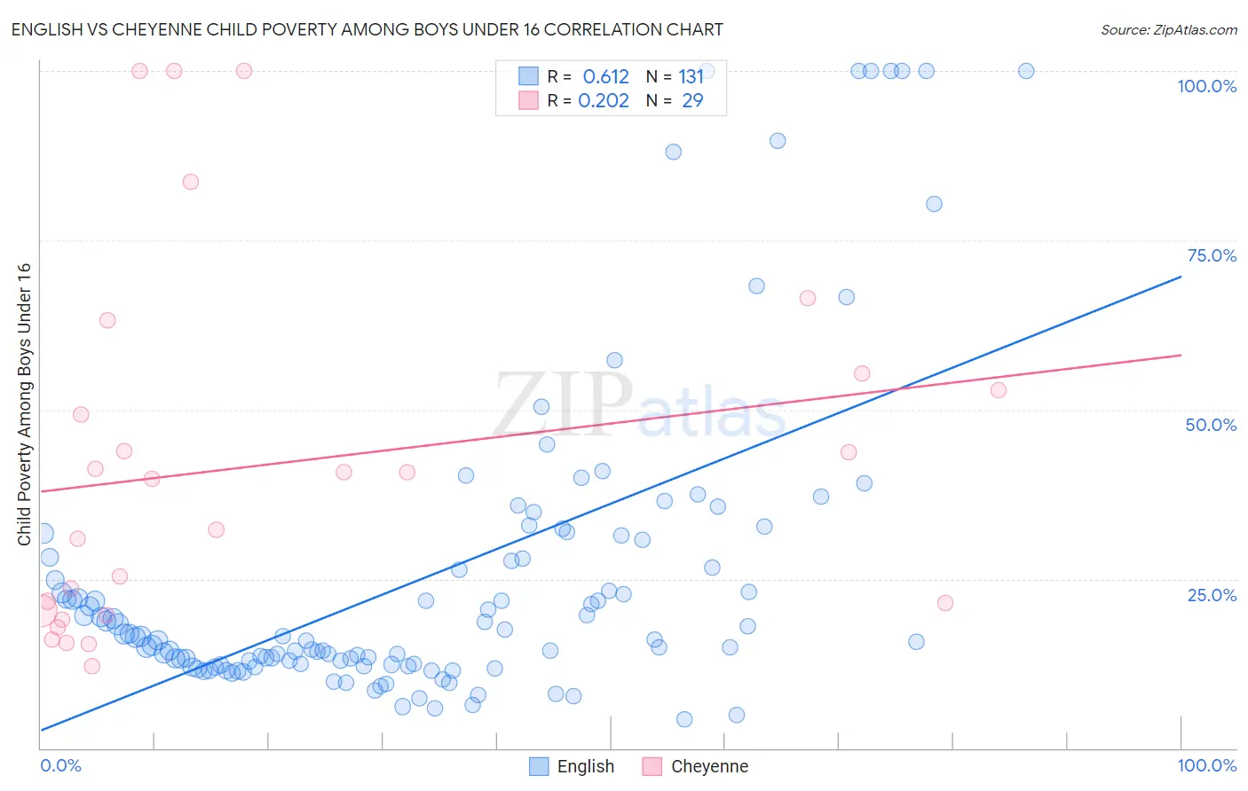 English vs Cheyenne Child Poverty Among Boys Under 16