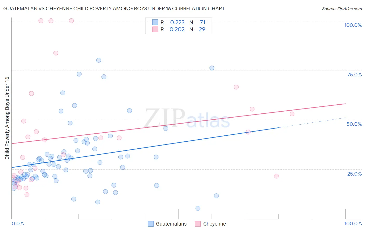 Guatemalan vs Cheyenne Child Poverty Among Boys Under 16