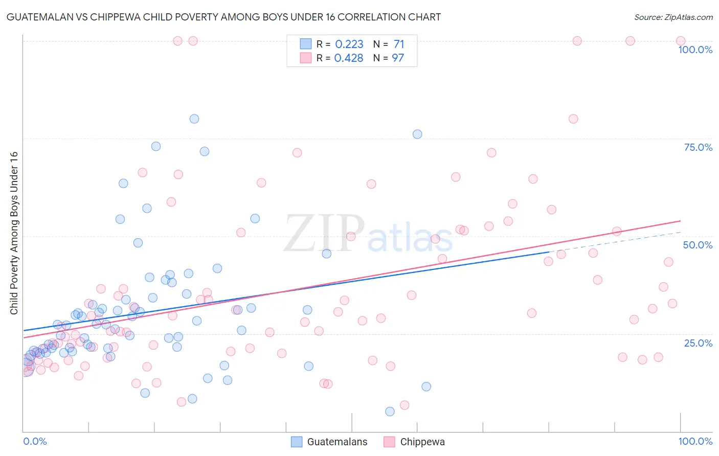 Guatemalan vs Chippewa Child Poverty Among Boys Under 16