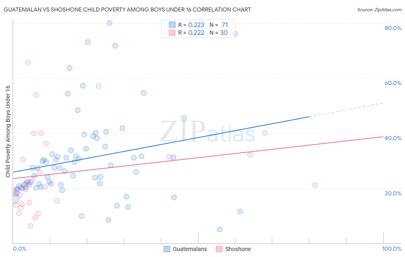 Guatemalan vs Shoshone Child Poverty Among Boys Under 16