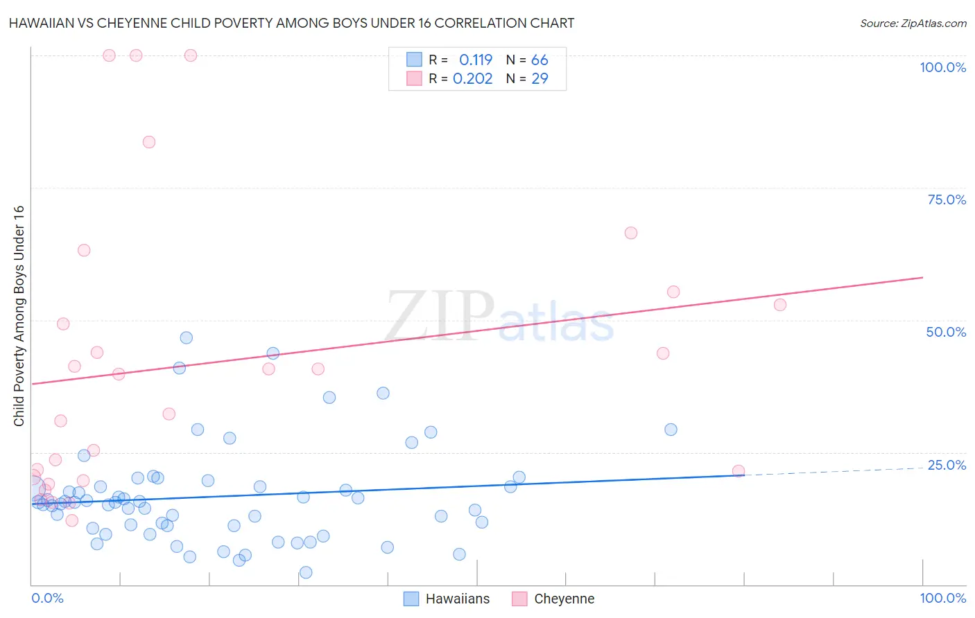 Hawaiian vs Cheyenne Child Poverty Among Boys Under 16