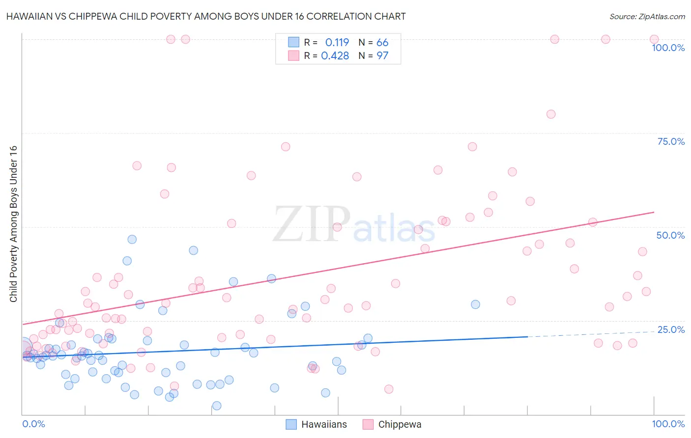 Hawaiian vs Chippewa Child Poverty Among Boys Under 16