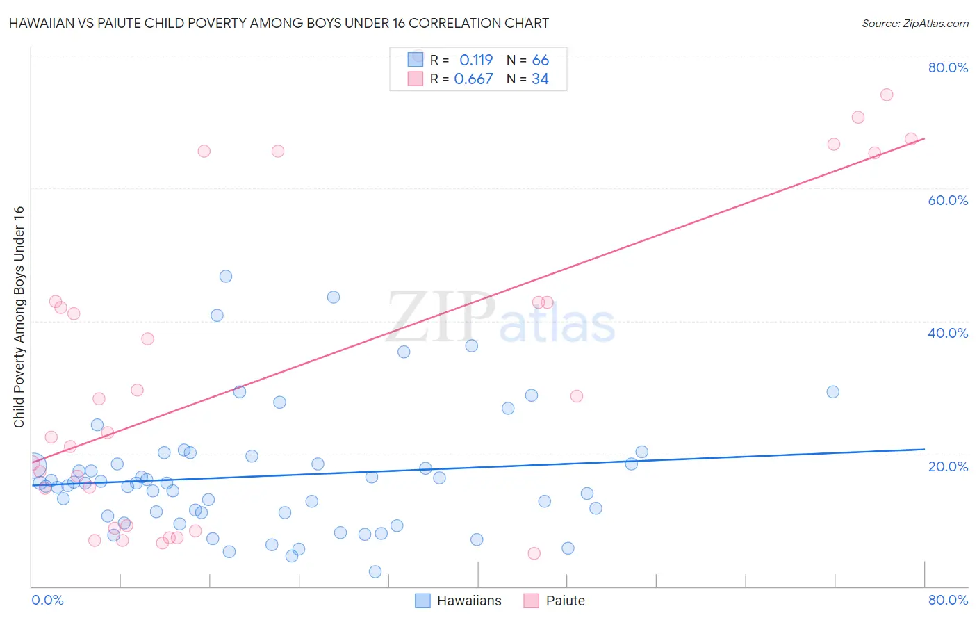 Hawaiian vs Paiute Child Poverty Among Boys Under 16