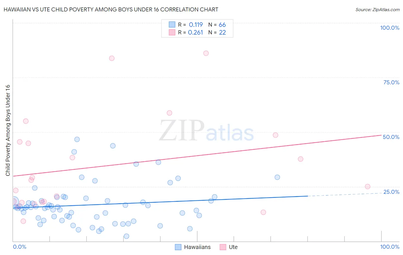 Hawaiian vs Ute Child Poverty Among Boys Under 16