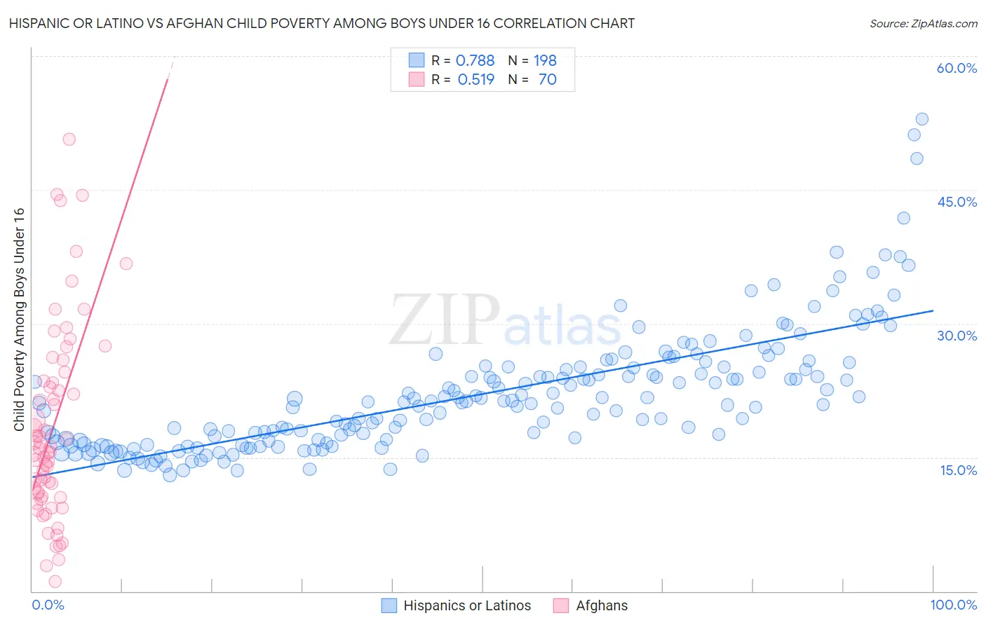 Hispanic or Latino vs Afghan Child Poverty Among Boys Under 16