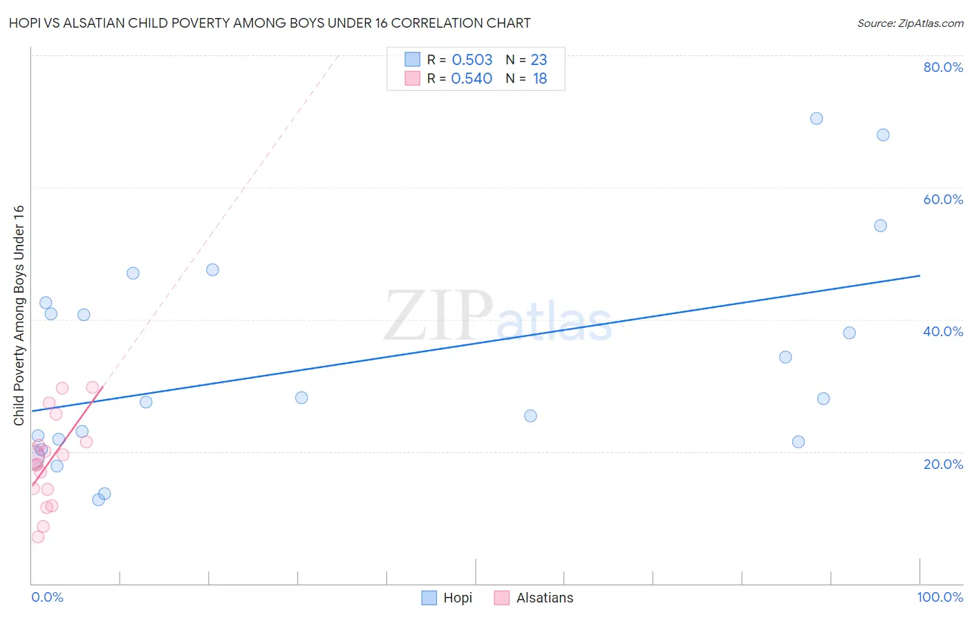 Hopi vs Alsatian Child Poverty Among Boys Under 16