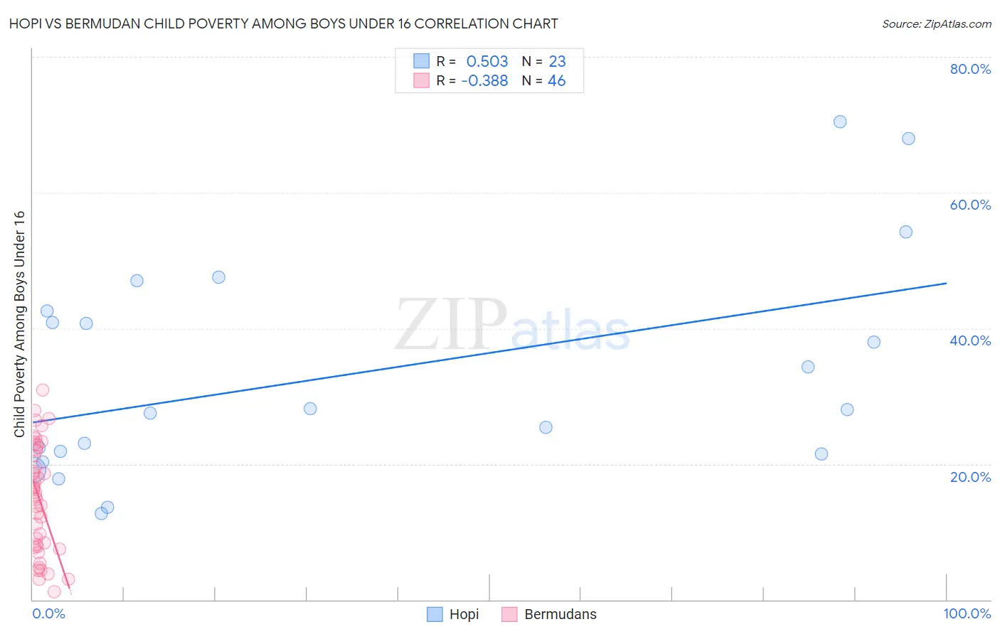 Hopi vs Bermudan Child Poverty Among Boys Under 16