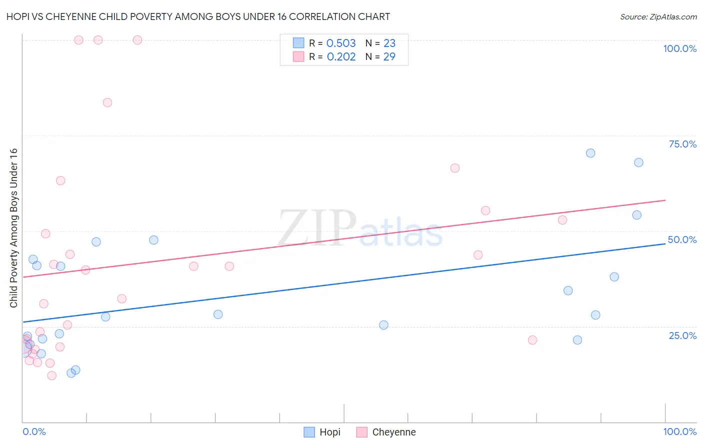Hopi vs Cheyenne Child Poverty Among Boys Under 16