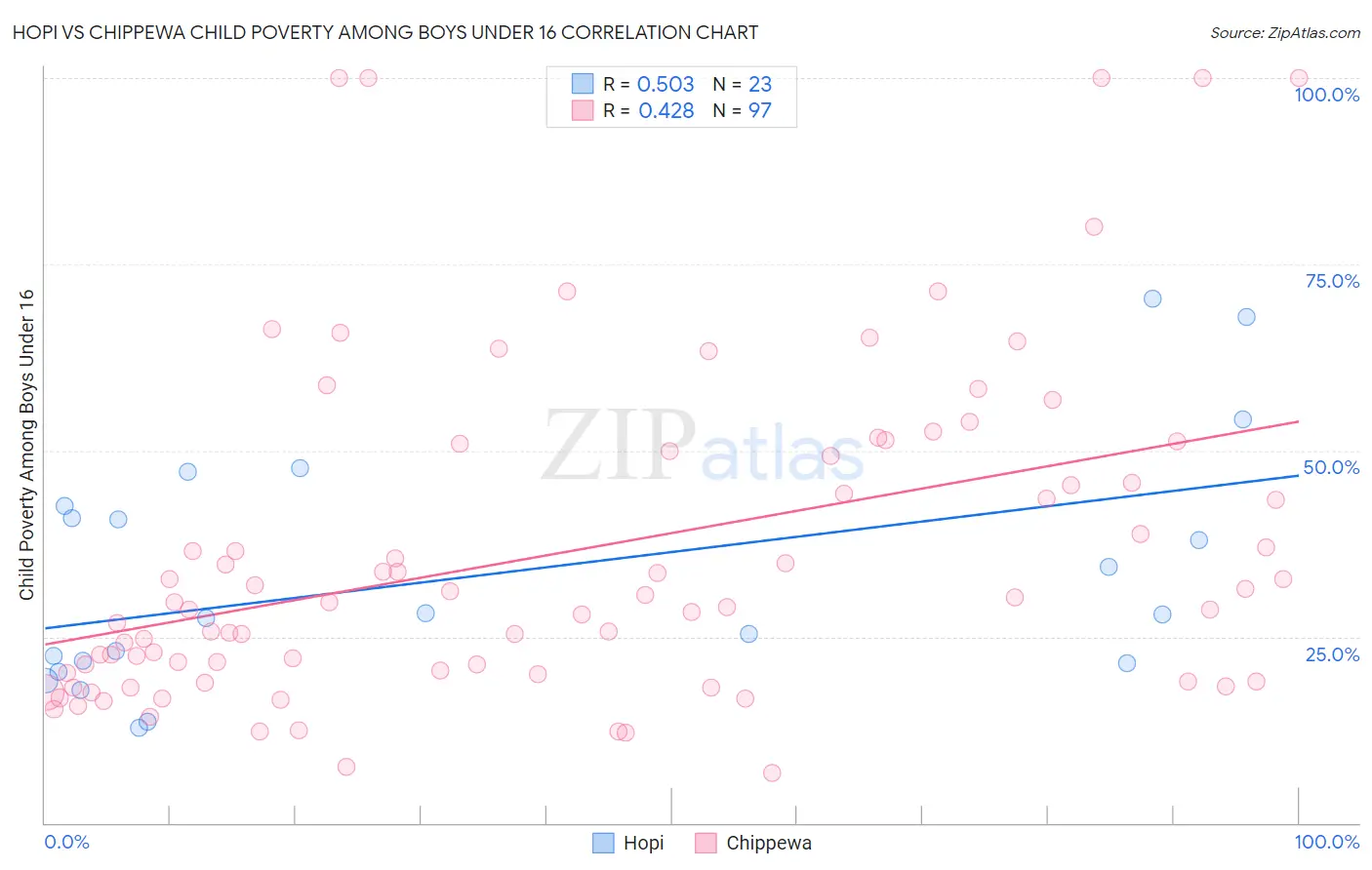 Hopi vs Chippewa Child Poverty Among Boys Under 16