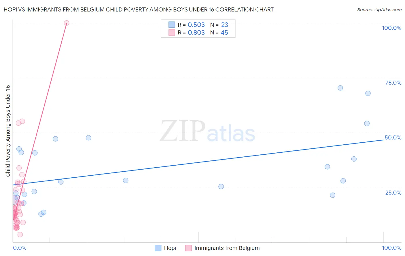 Hopi vs Immigrants from Belgium Child Poverty Among Boys Under 16