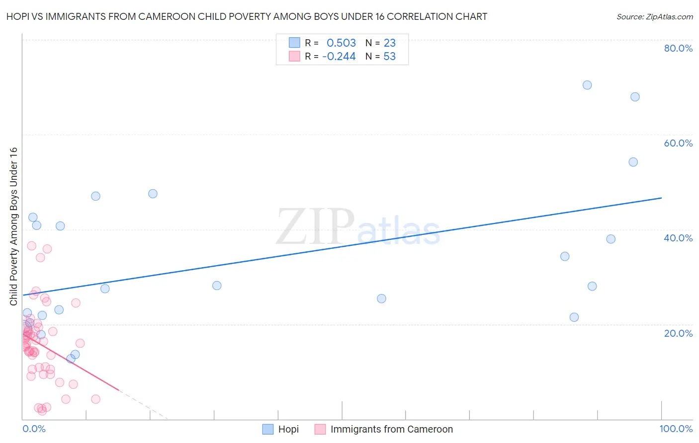 Hopi vs Immigrants from Cameroon Child Poverty Among Boys Under 16