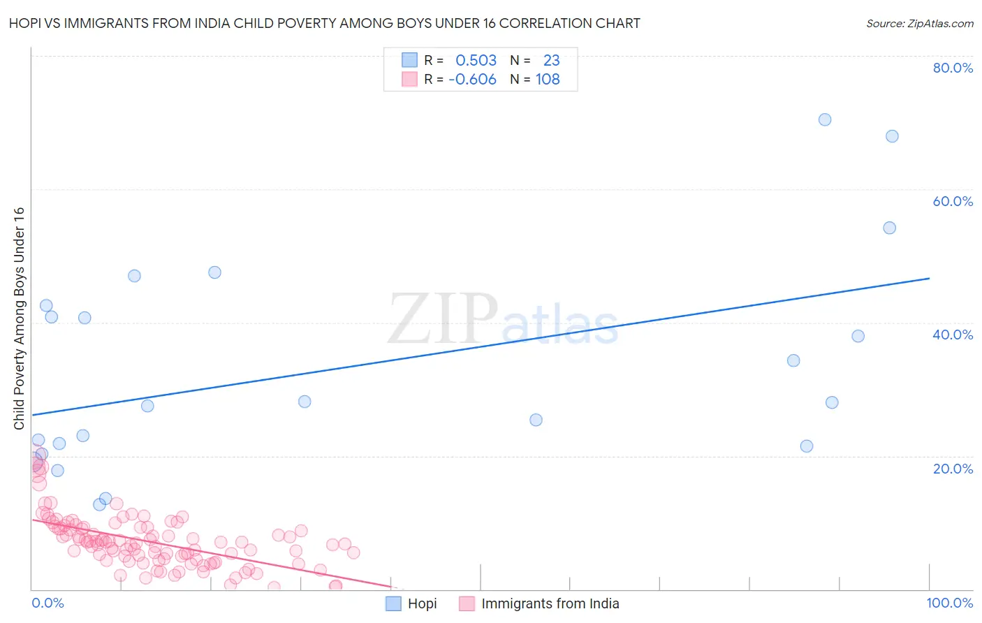 Hopi vs Immigrants from India Child Poverty Among Boys Under 16