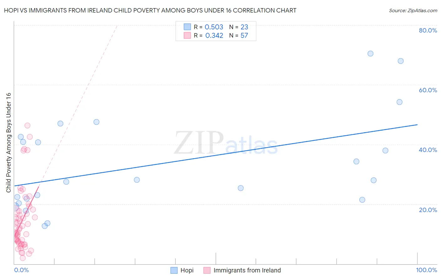 Hopi vs Immigrants from Ireland Child Poverty Among Boys Under 16