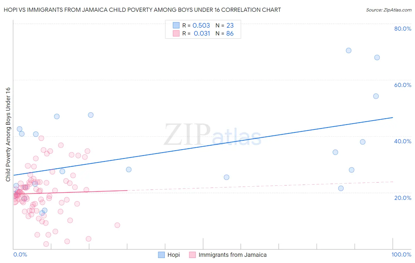 Hopi vs Immigrants from Jamaica Child Poverty Among Boys Under 16