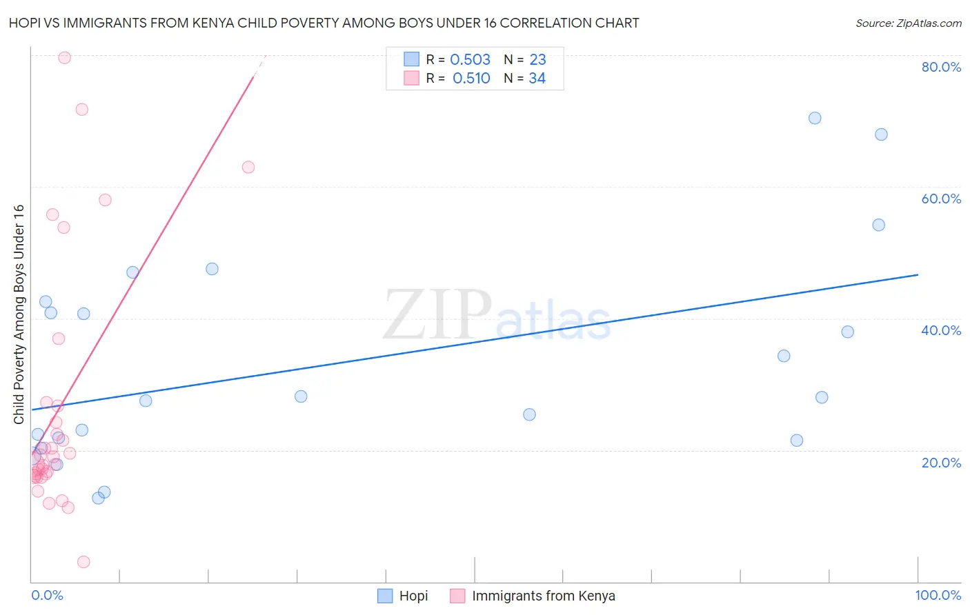 Hopi vs Immigrants from Kenya Child Poverty Among Boys Under 16