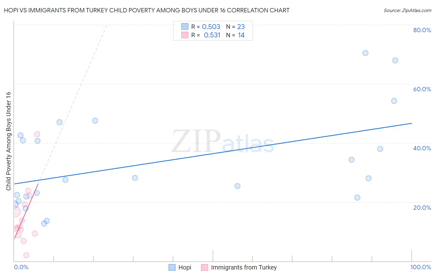 Hopi vs Immigrants from Turkey Child Poverty Among Boys Under 16