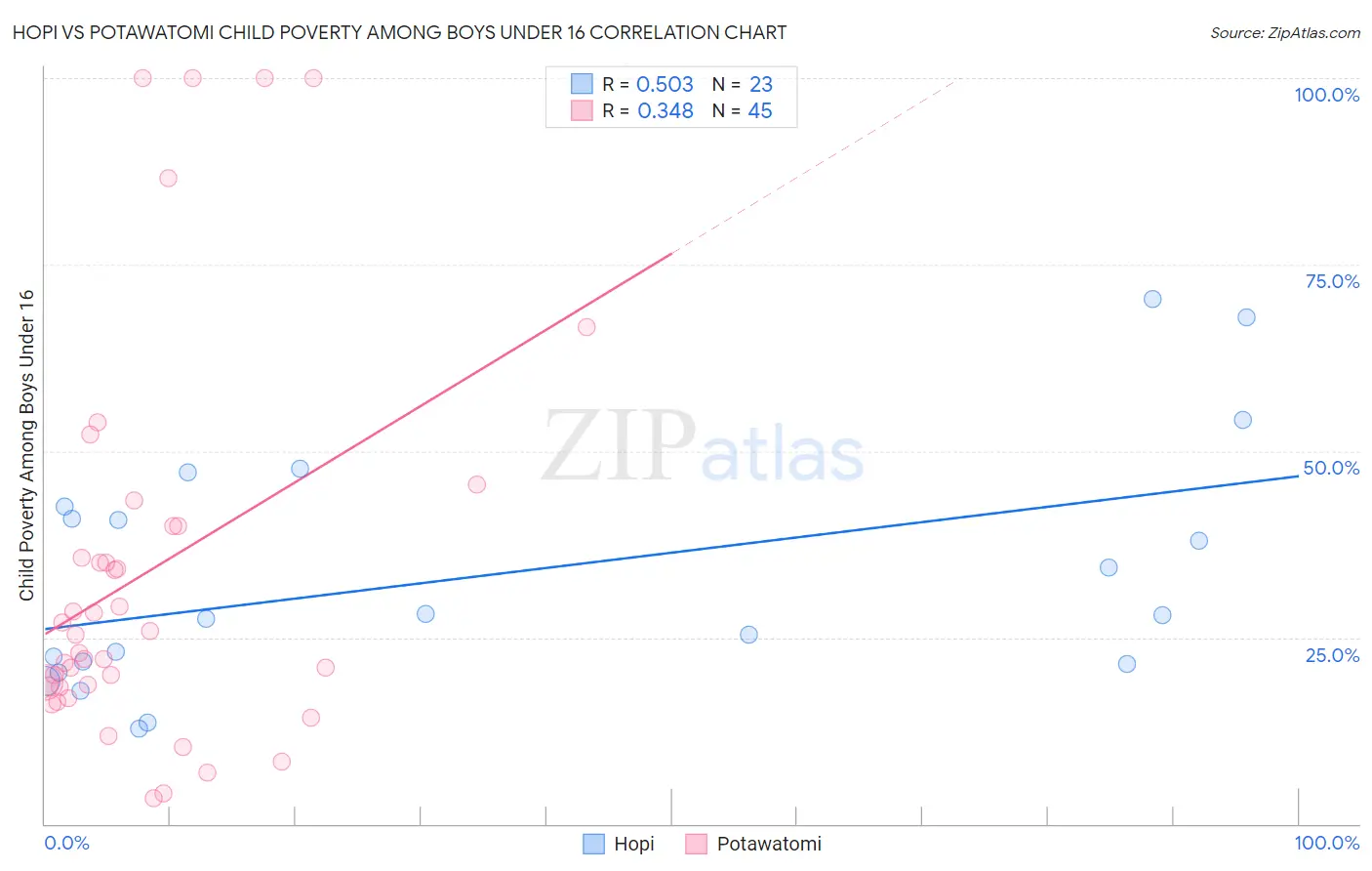 Hopi vs Potawatomi Child Poverty Among Boys Under 16